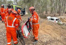 Driver rescued from gully
