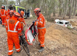 Driver rescued from gully