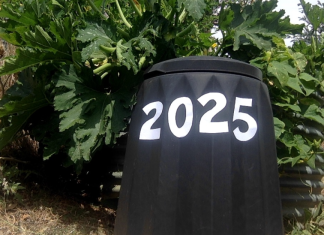 Be a better composter in 2025