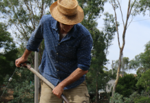 Would you like chips with that?