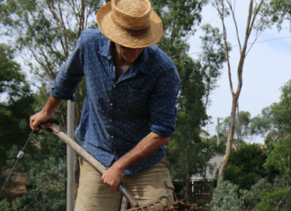 Would you like chips with that?