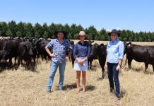 Region to star in regenerative agriculture