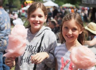 Big turnout expected for Taradale Festival