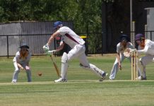 Action heats up in CDCA