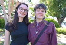 Local talent to hone craft at VCASS