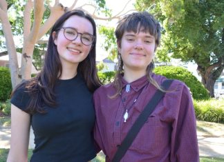 Local talent to hone craft at VCASS