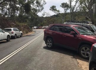 Parking, parrots and potential fires