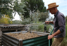 What to do with a compost that is too hot?