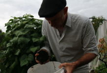 I just made the worst compost I have made in years!