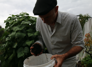 I just made the worst compost I have made in years!