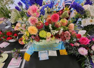 Flower Show returns