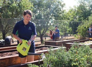 Kitchen garden grows