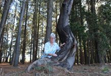 Gisborne open space push