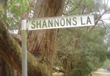 Tiny homes, big problems?