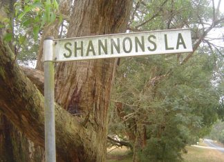 Tiny homes, big problems?