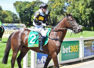 Shoosh goes Whoosh …