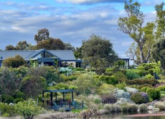 Afternoon tea in an autumn garden