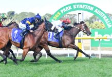 Locals finish in front at Kyneton