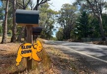 Koala strike hot spots