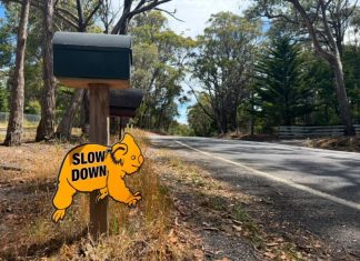 Koala strike hot spots