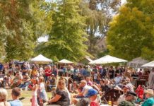 Big turnout expected for Taradale Festival