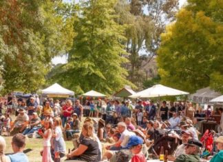 Big turnout expected for Taradale Festival
