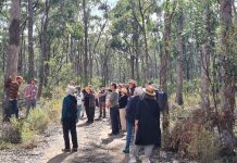 Nature repair needs accelerator funding