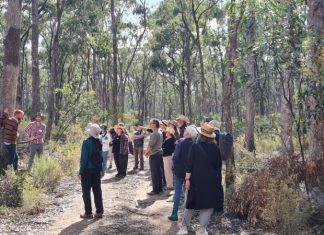Nature repair needs accelerator funding