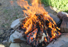 Getting the compost goodness out of bones and shells
