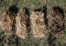 Four different types of straw