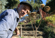 Giving our compost a great start