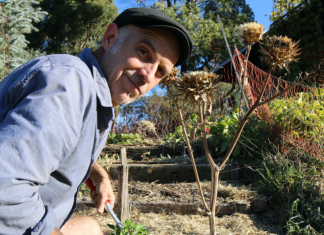 Giving our compost a great start
