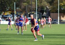 Sluggish start proves costly