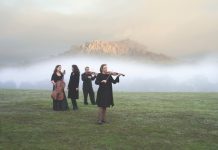 Stellar lineup for 20th festival