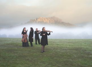 Stellar lineup for 20th festival