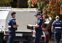 Wildlife seized at Kyneton