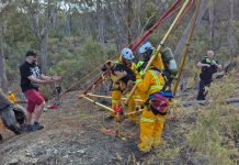 Dog rescued from mine shaft