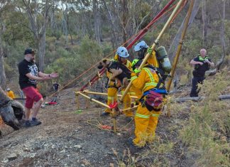 Dog rescued from mine shaft