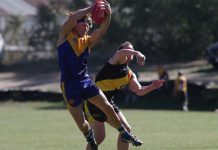 MCDFNL sides bounce into 2025