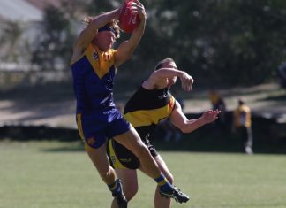 MCDFNL sides bounce into 2025