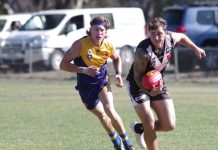 Lions pounce on Magpies