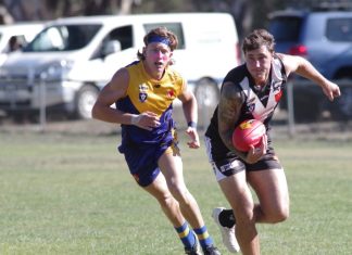 Lions pounce on Magpies