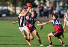 Magpies face down Dragons
