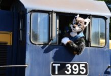 A fox, a vintage train and a birthday
