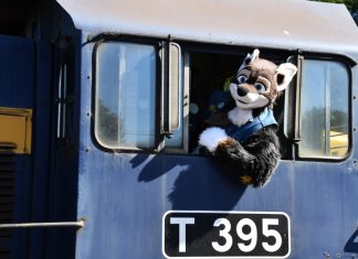 A fox, a vintage train and a birthday
