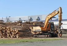 Timber removal challenged