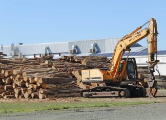 Timber removal challenged