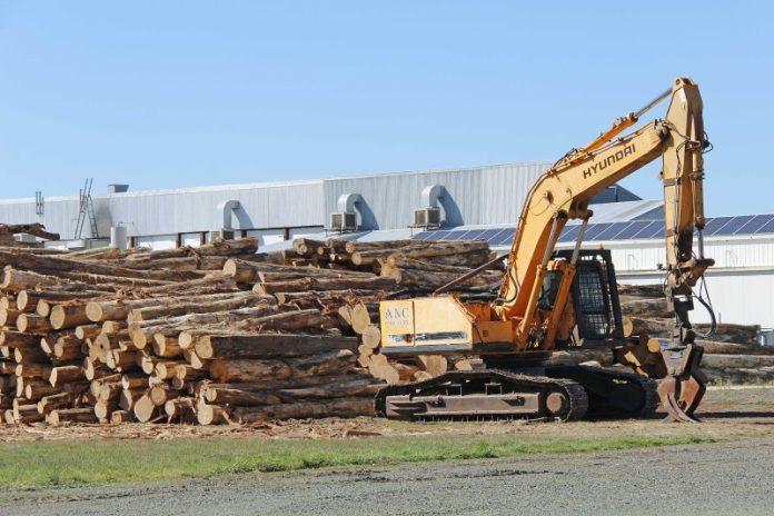 logging 2