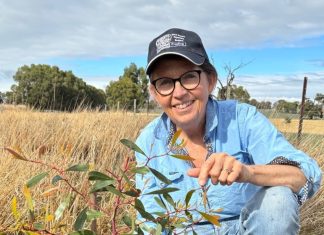 Learn to ‘plant them right’