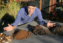 ‘Greens’ and ‘browns’?